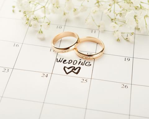 The Wedding Schedule